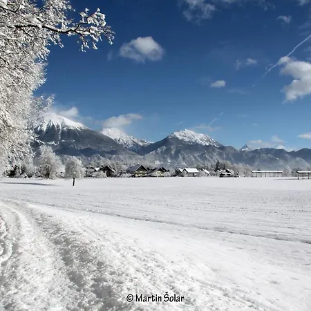 Appartement Jaka Bled