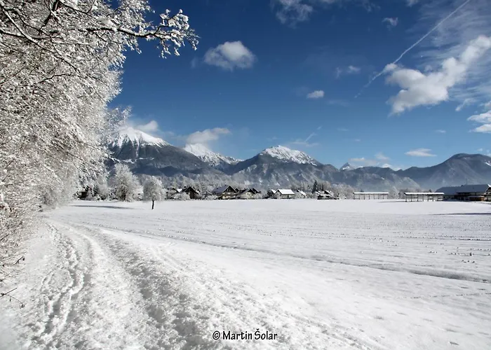 公寓 Jaka 布莱德